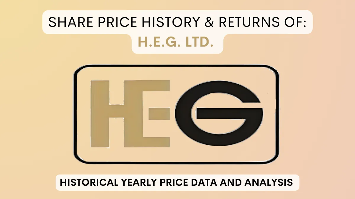 H.E.G. Ltd. Share Price History & Returns (1993 To 2024)